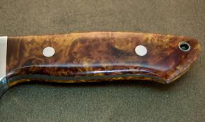 dyed maple burl drop point